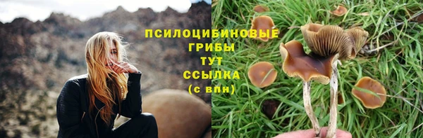 марки lsd Переславль-Залесский